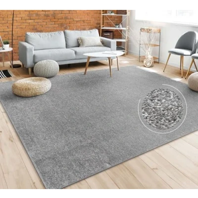 Afbeelding van Paco Home Vloerkleed Woonkamer Effen Eenvoudig En Modern Laagpolig, Versch. Afmetingen Kleuren 160x220 cm