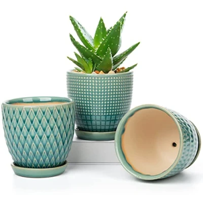Afbeelding van Set van 3 kleine ronde keramische bloempotten met afvoergat en schaal voor vetplanten, cactussen, binnen, buiten, huis, vensterbank, diameter 11,2 cm