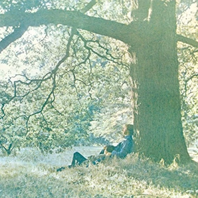 Afbeelding van Yoko Ono Plastic Band (CD)