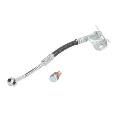 Afbeelding van DELPHI LH7541 Remslang 267 Banjo