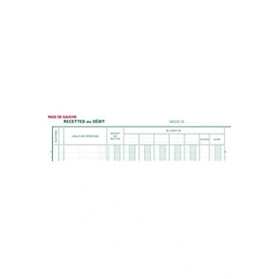 Afbeelding van Exacompta 6500E Verticaal bankdagboek 32 x 25 cm folioblad 80 pagina&#039;s 33 regels papier 110 g/m², 2 labels, ventilatie kolommen: 5 flow, credit. Willekeurige kleur