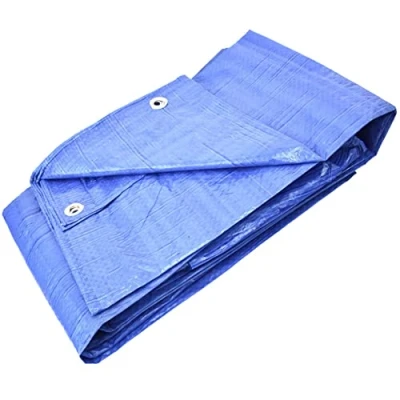 Afbeelding van GARDENIX Dekzeil in weefsel van 60 g/m² (10 x 12 m), blauw