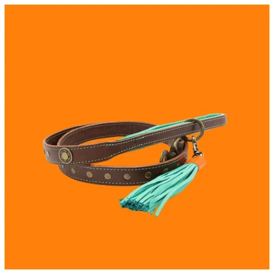 Afbeelding van Dwam Ledere Looplijn Joe Bruin&amp;Turquoise Hondenriem 135x1.6 cm