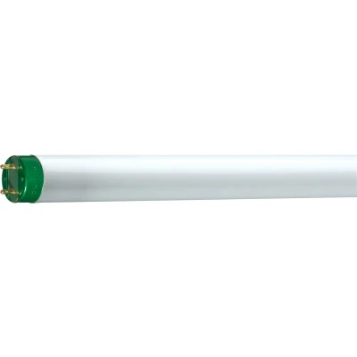 Afbeelding van G13 T8 TL D lamp Master Eco van 16W, 840