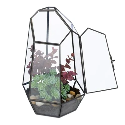 Afbeelding van planten terrarium 26x18x15 cm glas vensterbank zwart