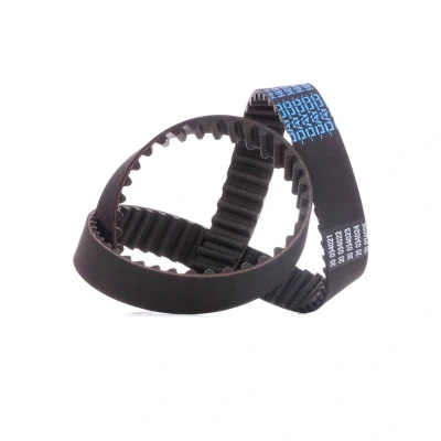 Afbeelding van Getande riem DAYCO 94618