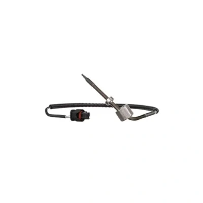 Afbeelding van DELPHI TS30071 Sensoren MERCEDES BENZ: E Class Saloon, C T modell