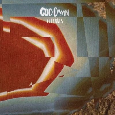 Afbeelding van God Damn Vultures (LP)