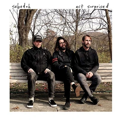 Afbeelding van Sebadoh Act Surprised (CD)