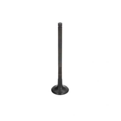 Afbeelding van Uitlaatklep FRECCIA R6476/RNT