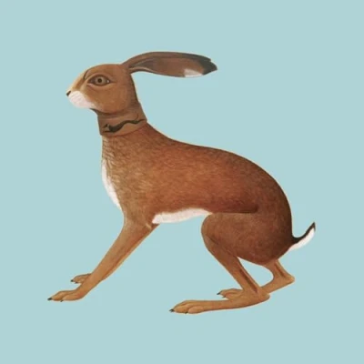 Afbeelding van Vashti Bunyan Lookaftering Expanded Edition (LP)