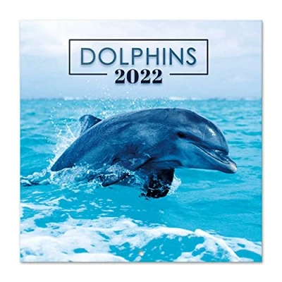 Image de Calendrier 2022 30X30 Dauphins