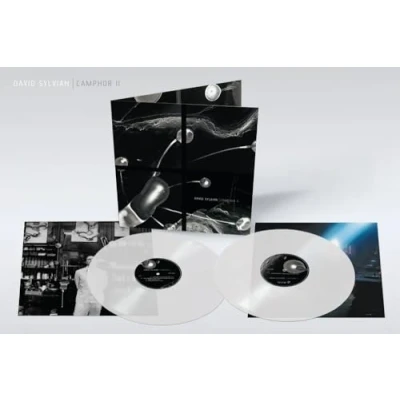 Afbeelding van david sylvian camphor II (RSD25 LP)