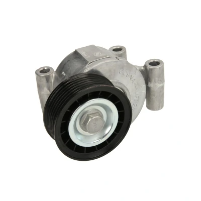 Afbeelding van Gates Spanrol (poly) V riem T38318