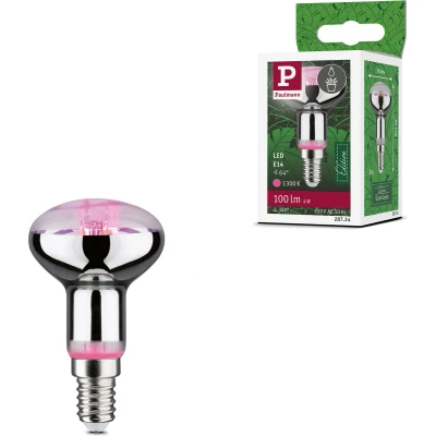 Afbeelding van PAULMANN LED plantenlamp groei 230 V E14 4 W Barnsteen 1 stuk(s)