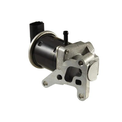 Afbeelding van HELLA 6NU 010 171 831 EGR klep Electrisch pneumatisch Met pakkingen