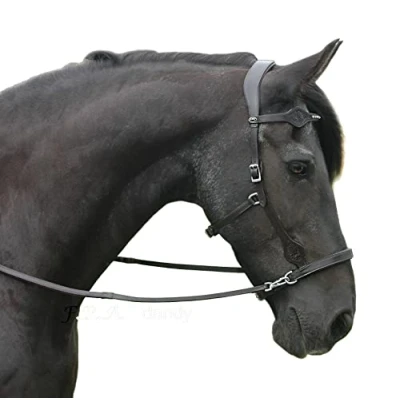Afbeelding van F.R.A. Bitloos Hoofdstel Dandy Side Pull Lederen Teugels Zwart Cob
