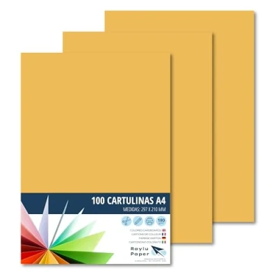 Afbeelding van Raylu Paper® 100 stuks A4 kaarten van leer, 180 g, 210 x 297 mm, ideaal voor binden, kantoorwerk, tekenen, knutselen schoolgebruik (leer)