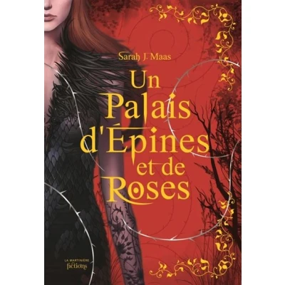 Image de Un Palais d&#039;épines et de roses T1 Collector