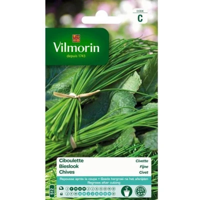Afbeelding van Bieslook Fijne Allium schoenoprasum