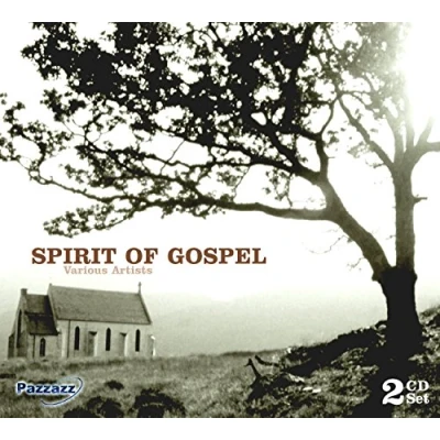 Afbeelding van Various Artists Spirit Of Gospel (2 CD)