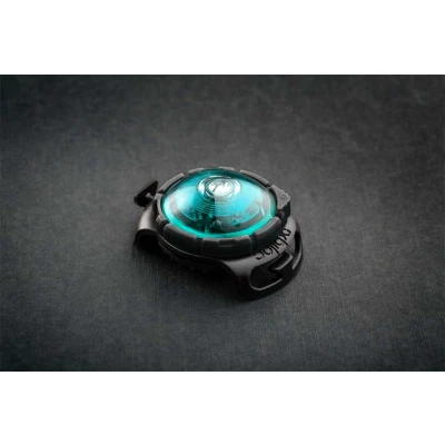 Afbeelding van Orbiloc Dog Dual Light Turquoise