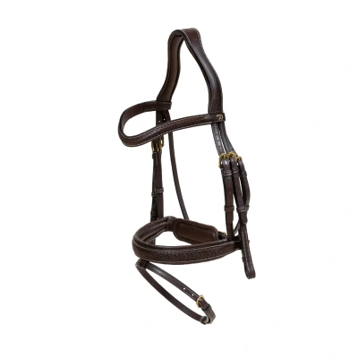 Image de Dyon Plaited Flash Noseband Bridle with Pull back D Collection