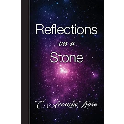 Afbeelding van Reflections on a Stone