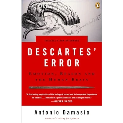 Afbeelding van Descartes&#039; Error