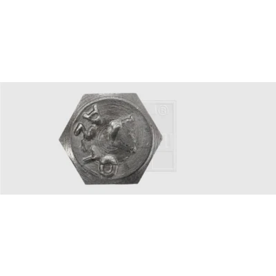 Afbeelding van SWG 9662567 Zeskantbouten M6 25 mm Buitenzeskant DIN 933 RVS A2 40 stuk(s)