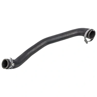 Afbeelding van FEBI BILSTEIN 170774 Laadluchtslang Met bellen FORD: FOCUS 3 Turnier, 3, C Max 2