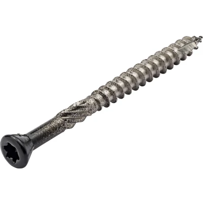 Afbeelding van Vlonderschroef RVS zwarte kop met snijpunt 4,0 x 50 mm Torx20 (200 stuks)