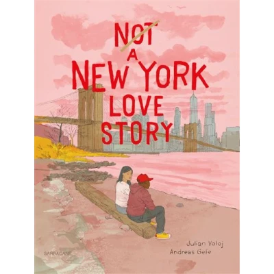 Image de Not a New York Love Story
