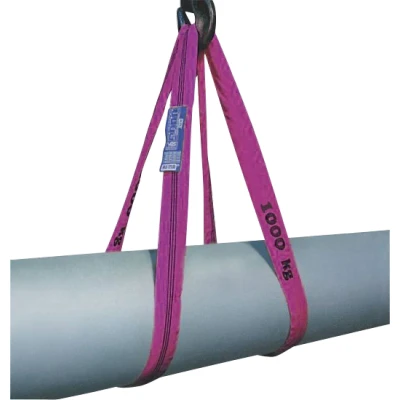 Afbeelding van Rondstrop, Violet, 1 Ton, Omtr 2 M Lengte