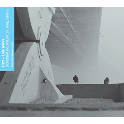 Afbeelding van Camerata Transsylvanica Late Works (CD)