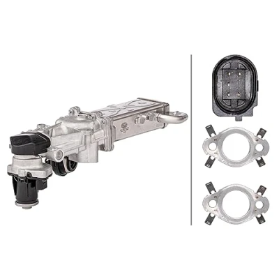 Afbeelding van HELLA 6NU 358 167 001 AGR modul Met pakkingen, koeler klep voor recirculatie van de uitlaatgassen VOLKSWAGEN: Caddy 3, Polo V Hatchback