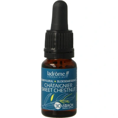 Afbeelding van Sweet chestnut /tamme kastanje bio