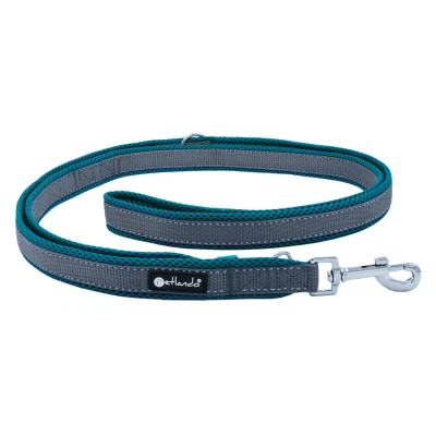 Afbeelding van Dressuurlijn Outdoor petrol verstelbare hondenlijn maat S 230 cm x 1,5