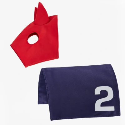 Image de LeMieux Toy Pony Tapis de selle course et capuche en Lycra MISC
