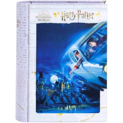 Afbeelding van 3D puzzel Harry Potter &amp; Ron (300 pcs)