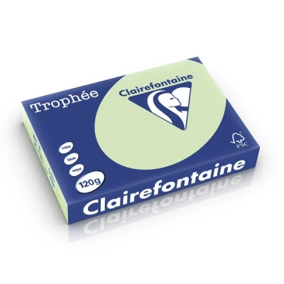 Image de 250 Feuilles A4 120G Couleurs Pastels Chamois Trophée Clairefontaine