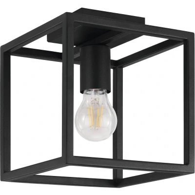 Afbeelding van Eglo Verlichting Plafonniere Blackcrown 1 lamp