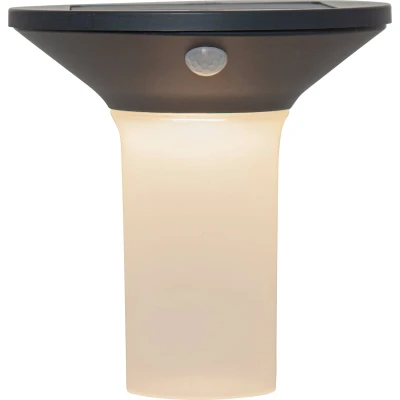 Afbeelding van EGLO Corbezzola Wandlamp Buiten Solar Zonne energie LED 16 cm Sensor Grafiet/Wit
