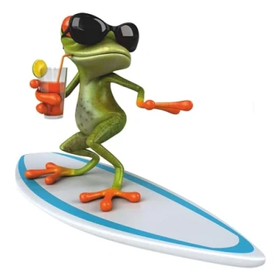 Afbeelding van younikat surfer sticker kikker I 15 x cm voor laptop koffer scooter badkamer motorfiets douche muur grappig cool weerbestendig kfz_377
