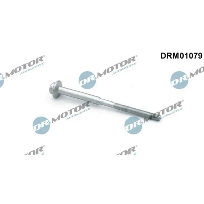 Afbeelding van DR.MOTOR AUTOMOTIVE DRM01079 Schroef, inspuitstukhouder VOLKSWAGEN: Sharan II, Golf 7, Passat B7 Variant, AUDI: A6 C7 Saloon, A4 B8 Avant, Q5