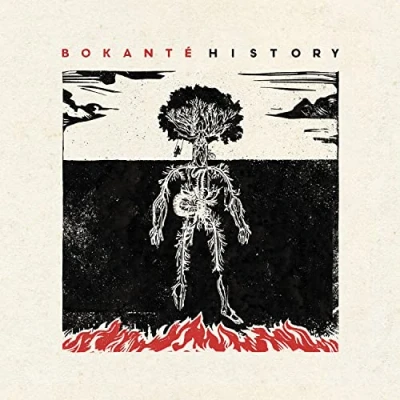 Afbeelding van Bokanté History (LP)