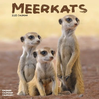 Afbeelding van Stokstaartjes Kalender 2025