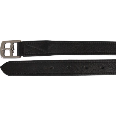 Afbeelding van STIJGBEUGELRIEM NYLON KERN