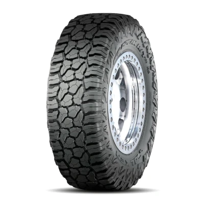 Afbeelding van Falken WILDPEAK R/T RT01 275/65 R18 119/116Q personenwagen Zomerbanden Banden 356979