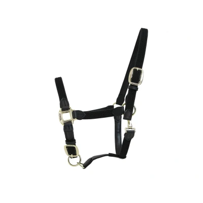 Image de Kentucky Licol Plaited Nylon Noir Cob